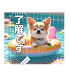 【犬】眠そうチワワ♡プール浮き輪（個別スタンプ：2）