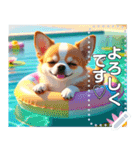 【犬】眠そうチワワ♡プール浮き輪（個別スタンプ：4）