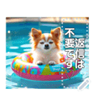 【犬】眠そうチワワ♡プール浮き輪（個別スタンプ：13）