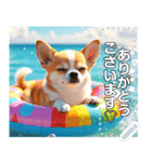 【犬】眠そうチワワ♡プール浮き輪（個別スタンプ：14）