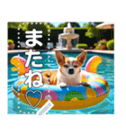 【犬】眠そうチワワ♡プール浮き輪（個別スタンプ：16）