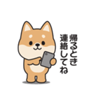 家族連絡用〇しばいぬのスタンプ（個別スタンプ：2）