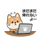 家族連絡用〇しばいぬのスタンプ（個別スタンプ：4）