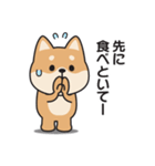 家族連絡用〇しばいぬのスタンプ（個別スタンプ：7）