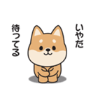 家族連絡用〇しばいぬのスタンプ（個別スタンプ：8）