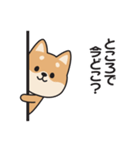 家族連絡用〇しばいぬのスタンプ（個別スタンプ：10）
