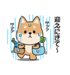 家族連絡用〇しばいぬのスタンプ（個別スタンプ：15）