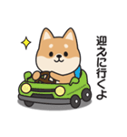 家族連絡用〇しばいぬのスタンプ（個別スタンプ：17）
