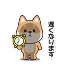 家族連絡用〇しばいぬのスタンプ（個別スタンプ：19）