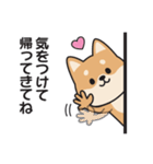 家族連絡用〇しばいぬのスタンプ（個別スタンプ：22）