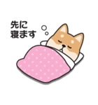 家族連絡用〇しばいぬのスタンプ（個別スタンプ：24）