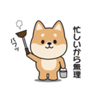 家族連絡用〇しばいぬのスタンプ（個別スタンプ：31）