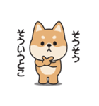 家族連絡用〇しばいぬのスタンプ（個別スタンプ：36）