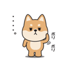 家族連絡用〇しばいぬのスタンプ（個別スタンプ：37）