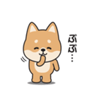 家族連絡用〇しばいぬのスタンプ（個別スタンプ：38）