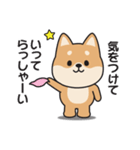 家族連絡用〇しばいぬのスタンプ（個別スタンプ：40）