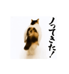 【すんごい使える】パリピ猫（個別スタンプ：21）