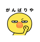 目つき悪いヒヨコの京都弁スタンプ（個別スタンプ：11）