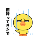目つき悪いヒヨコの京都弁スタンプ（個別スタンプ：37）