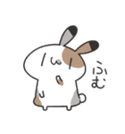 よくわかってないゆるうさスタンプ（個別スタンプ：12）
