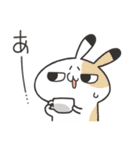 よくわかってないゆるうさスタンプ（個別スタンプ：13）