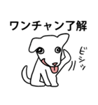 ワンチャン犬チャン（個別スタンプ：9）
