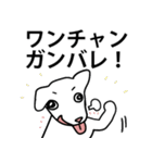 ワンチャン犬チャン（個別スタンプ：22）