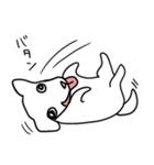 ワンチャン犬チャン（個別スタンプ：29）