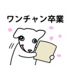 ワンチャン犬チャン（個別スタンプ：39）