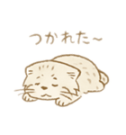 マヌルネコのシンプルスタンプ（個別スタンプ：2）