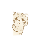 マヌルネコのシンプルスタンプ（個別スタンプ：11）