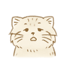 マヌルネコのシンプルスタンプ（個別スタンプ：14）