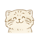 マヌルネコのシンプルスタンプ（個別スタンプ：16）