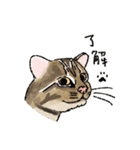 西表島で会いましょう（個別スタンプ：3）