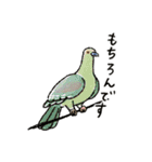 西表島で会いましょう（個別スタンプ：6）