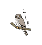 西表島で会いましょう（個別スタンプ：11）