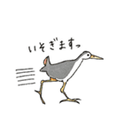 西表島で会いましょう（個別スタンプ：18）