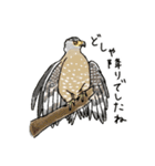 西表島で会いましょう（個別スタンプ：21）