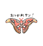 西表島で会いましょう（個別スタンプ：23）
