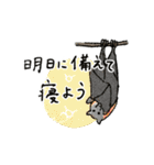 西表島で会いましょう（個別スタンプ：38）