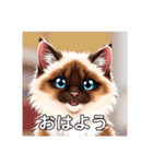 ペットの可愛いヒマラヤン（個別スタンプ：1）