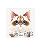 ペットの可愛いヒマラヤン（個別スタンプ：2）