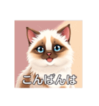 ペットの可愛いヒマラヤン（個別スタンプ：3）
