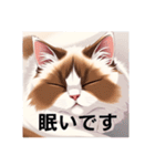 ペットの可愛いヒマラヤン（個別スタンプ：4）