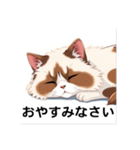 ペットの可愛いヒマラヤン（個別スタンプ：5）