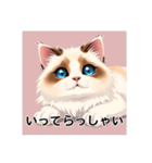 ペットの可愛いヒマラヤン（個別スタンプ：6）