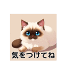 ペットの可愛いヒマラヤン（個別スタンプ：7）