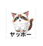 ペットの可愛いヒマラヤン（個別スタンプ：11）