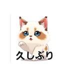 ペットの可愛いヒマラヤン（個別スタンプ：12）