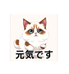 ペットの可愛いヒマラヤン（個別スタンプ：13）